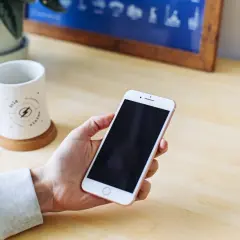 Dłoń trzyma smartfon, na którym widać pusty schowek w telefonie. Obok stoi kubek i roślina.