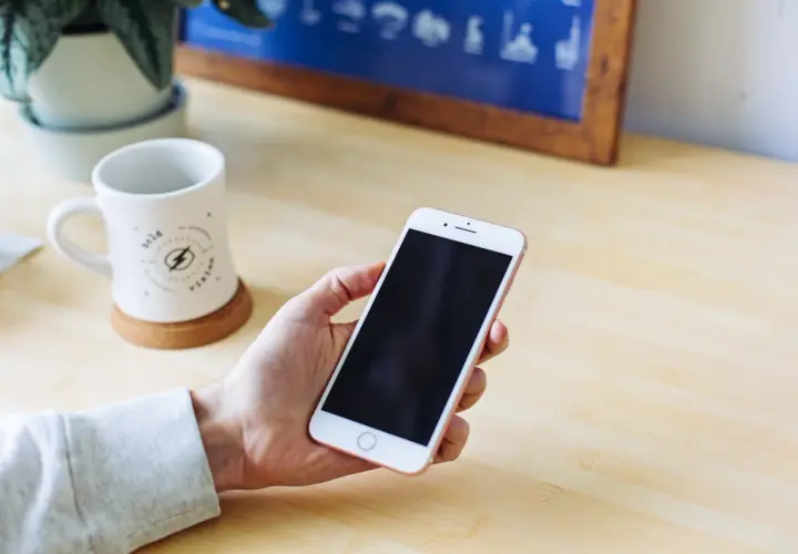 Dłoń trzyma smartfon, na którym widać pusty schowek w telefonie. Obok stoi kubek i roślina.